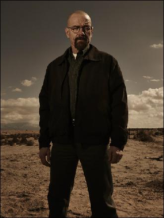 Walter-White_gallery (452x601, 107 k...)